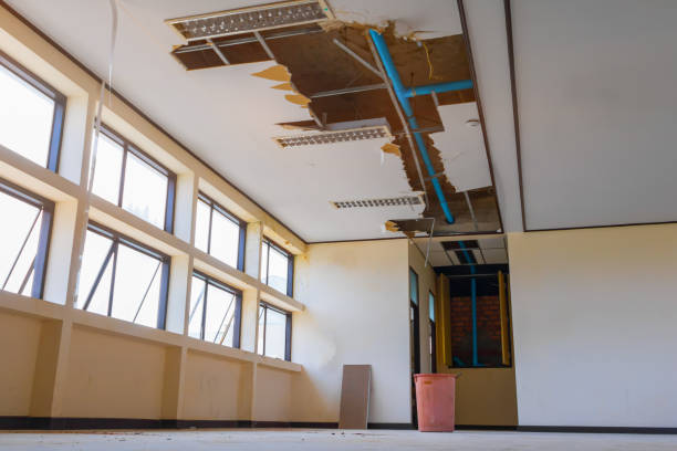 Best Water damage contractors near me  in Travis Ranch, TX