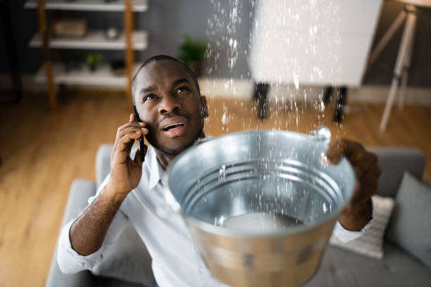 Best Professional water damage repair  in Travis Ranch, TX