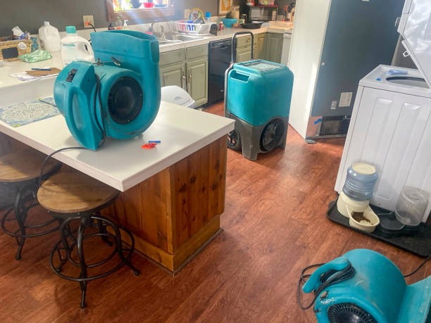 Best Water damage restoration near me  in Travis Ranch, TX