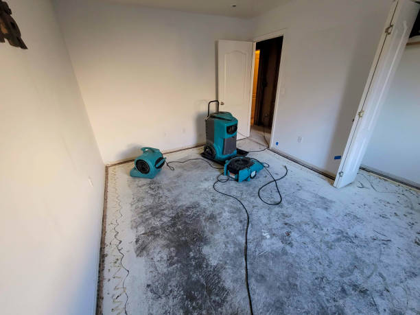 Best Water damage cleanup near me  in Travis Ranch, TX
