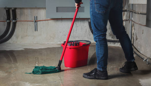 Best Residential water damage restoration  in Travis Ranch, TX