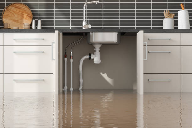 Best Flood restoration services  in Travis Ranch, TX